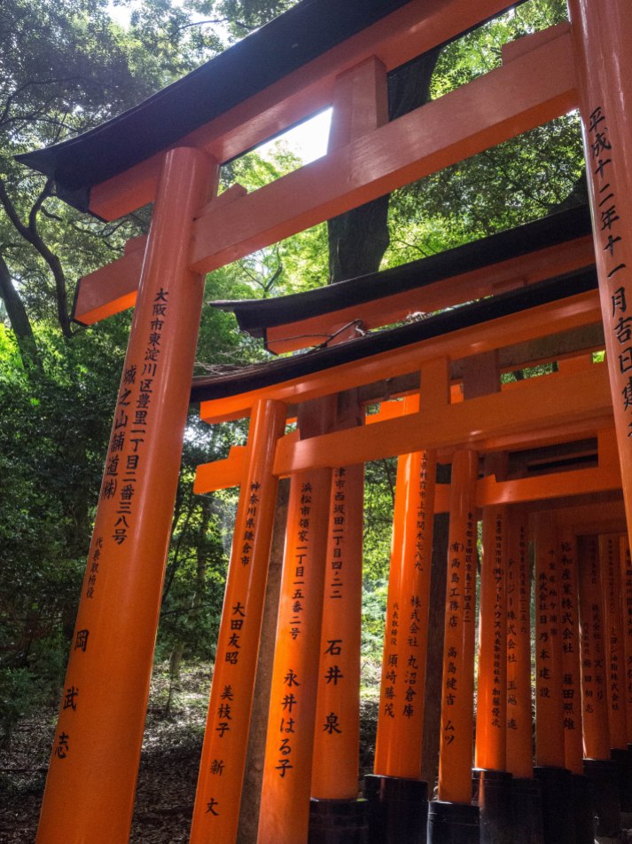 Torii gates at Fushima Inari